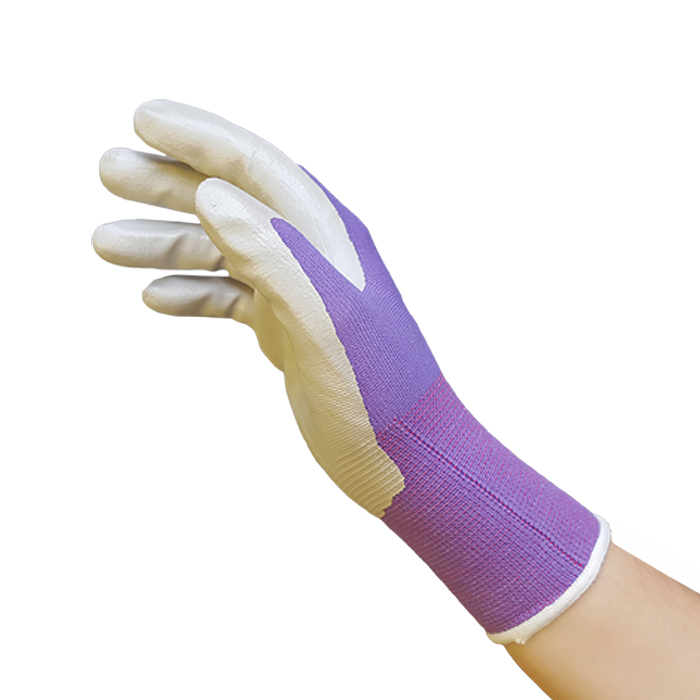 https://wholesaleharvestsupply.com/wp-content/uploads/2021/04/gloves_showa_color_purple_4.jpg