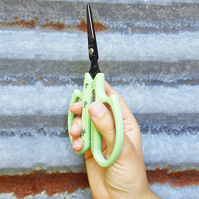 Grape Scissors - SA Horticultural
