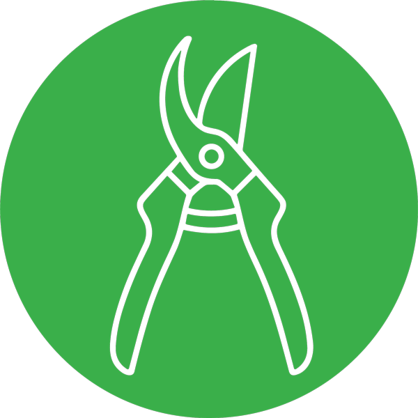 Scissors and Snips
